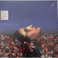 PINEAPPLE THIEF, THE - MAGNOLIA