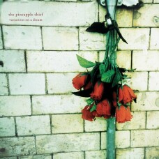 PINEAPPLE THIEF, THE - VARIATIONS ON A DREAM
