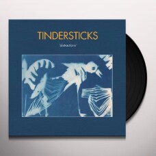 Tindersticks - Distractions