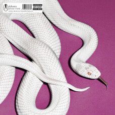 DEFTONES – PRIVATE MUSIC VINILO BLANCO COVER ALTERNATIVO - PREVENTA