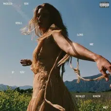 FLETCHER - WOULD YOU STILL LOVE ME IF YOU REALLY KNEW ME? VINILO