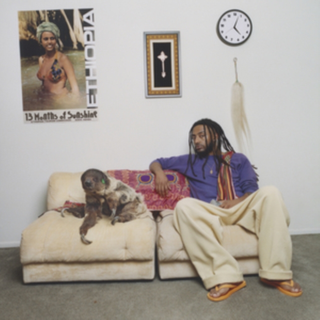 MUSICLAND AMINE - 13 MONTHS OF SUNSHINE VINILO 2LP