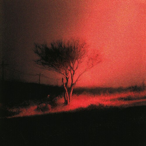 MUSICLAND JOJI - PISS IN THE WIND CD