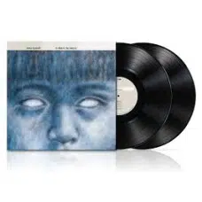 STEVE HACKETT - TO WATCH THE STORMS VINILO 2LP