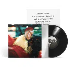 ARLO PARKS - AMBIGUOUS DESIRE VINILO