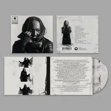 THUNDERCAT - DISTRACTED CD