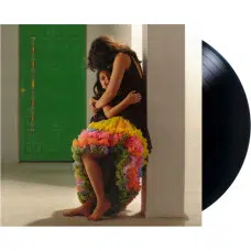 CAMILA CABELLO - FAMILIA VINILO