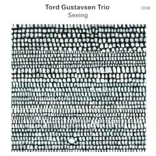 TORD GUSTAVSEN TRIO  - SEEING VINILO