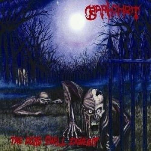 MUSICLAND BAPHOMET - THE DEAD SHALL INHERIT CD