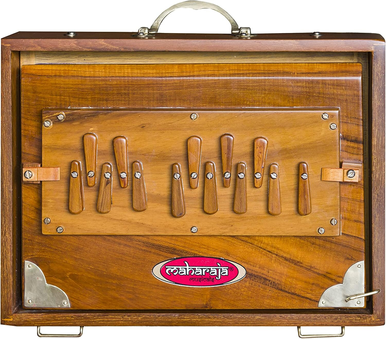 musicland maharaja shruti box
